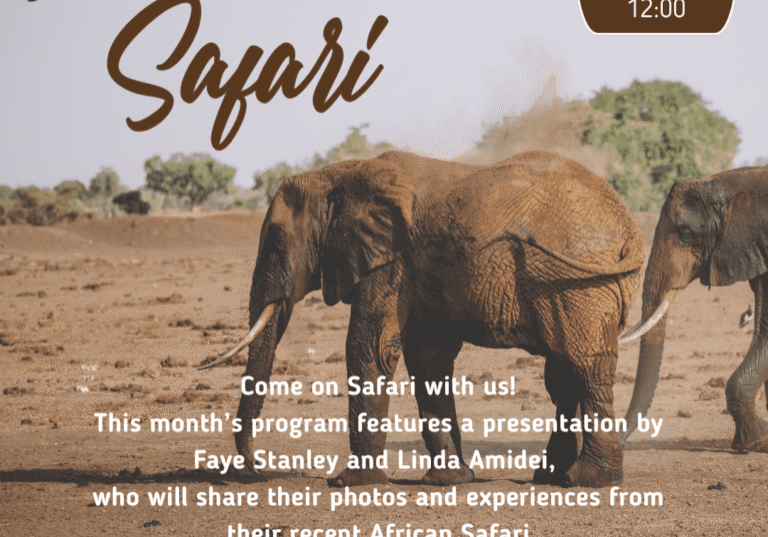 5f61d9e5-c6c3-ab5c-ac68-1291e41bfe49