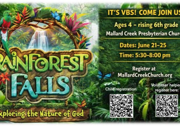 VBS-2026-rainforest-slide