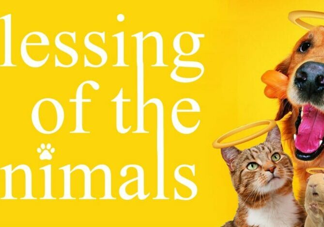 blessing animals advertisement