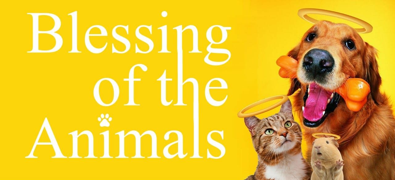 blessing animals advertisement